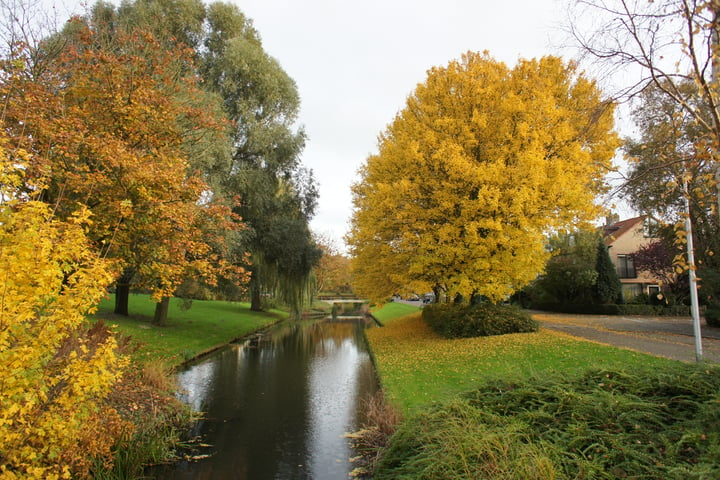 Bekijk foto 50 van Parmentierlaan 19