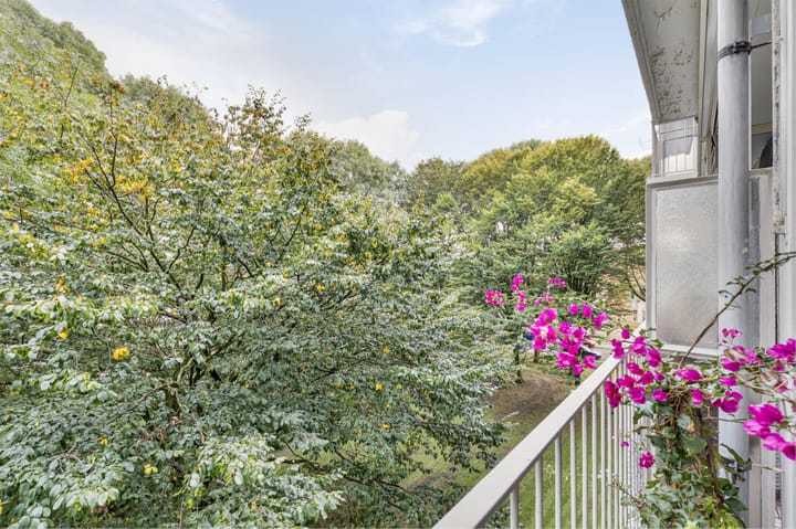 Foto 14 van Isabellaland 1600