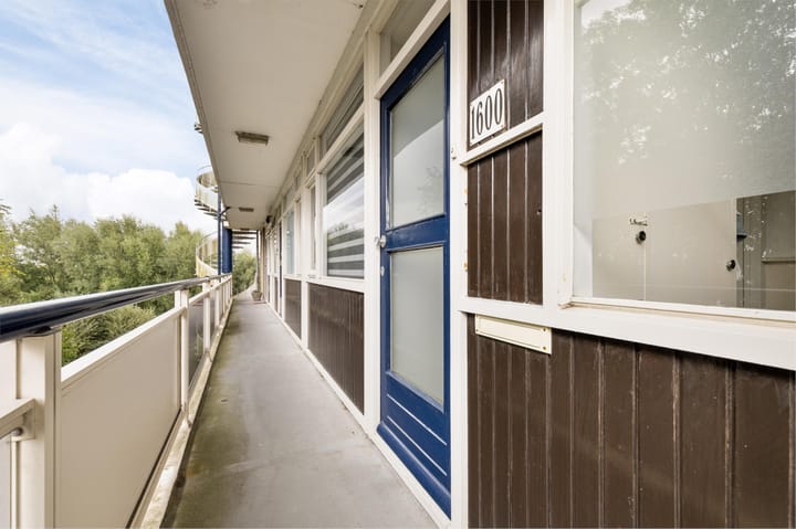 Foto 16 van Isabellaland 1600