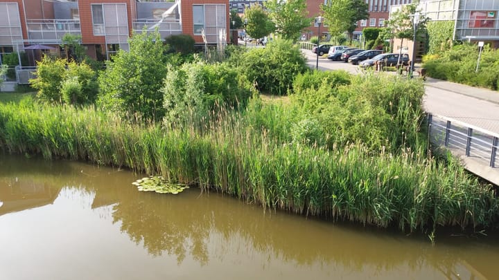 Foto 11 van Octavialaan 39