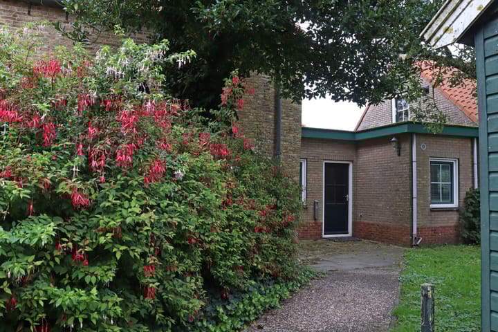 Foto 4 van Camminghastraat 12