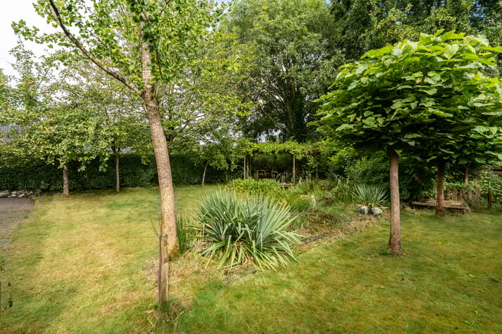 Foto 11 van Zwartwatersweg 186