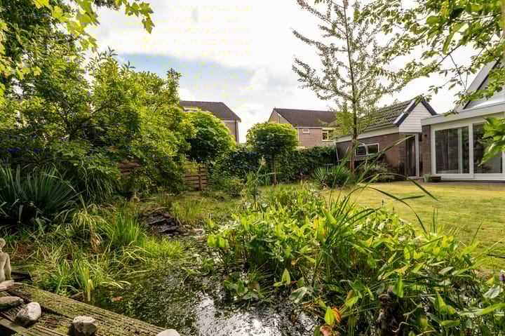 Foto 40 van Zwartwatersweg 186