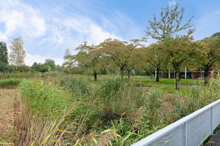 Foto 38 van De Fruittuinen 85