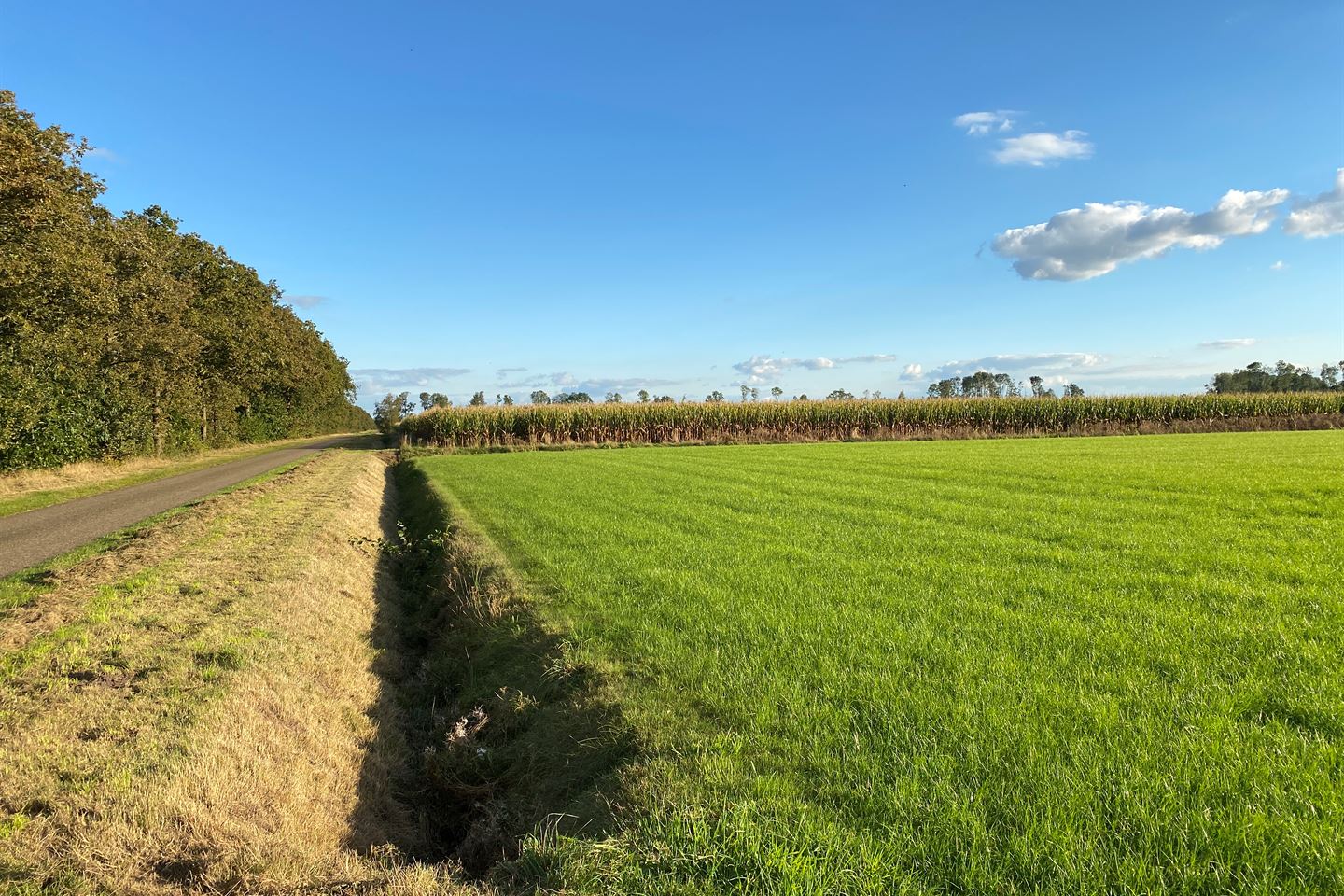 Bekijk foto 3 van Nevenweg