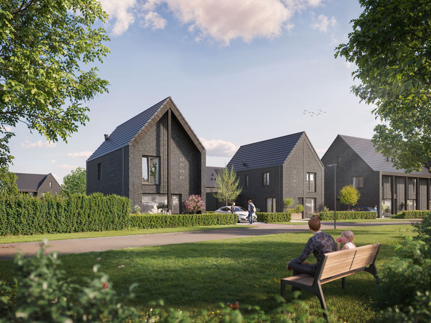 Foto 5 van De Driehoek