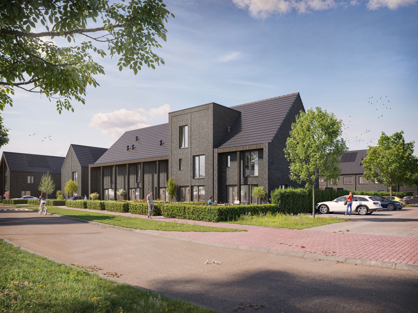 Foto 6 van De Driehoek