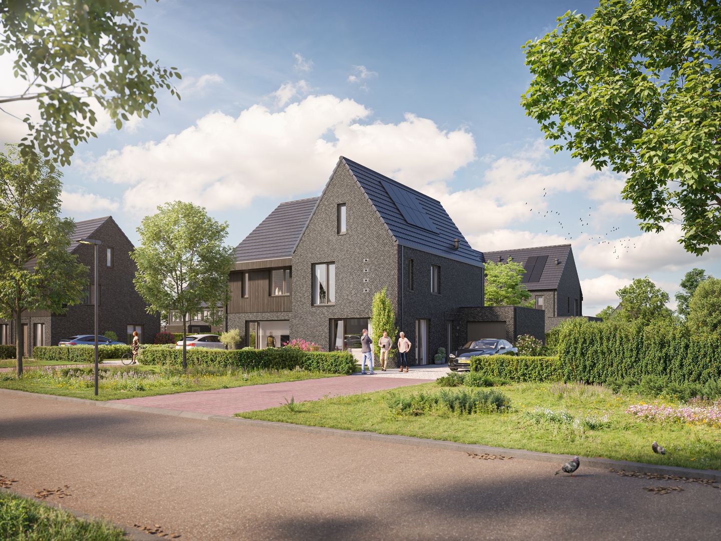 Foto 9 van De Driehoek