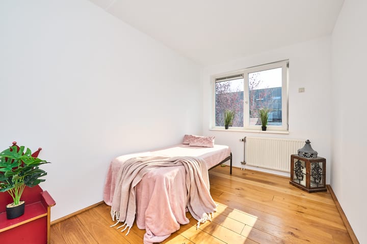 Foto 3 van Heintje Davidspad 43