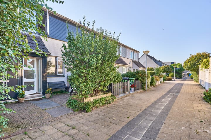 Foto 5 van Heintje Davidspad 43