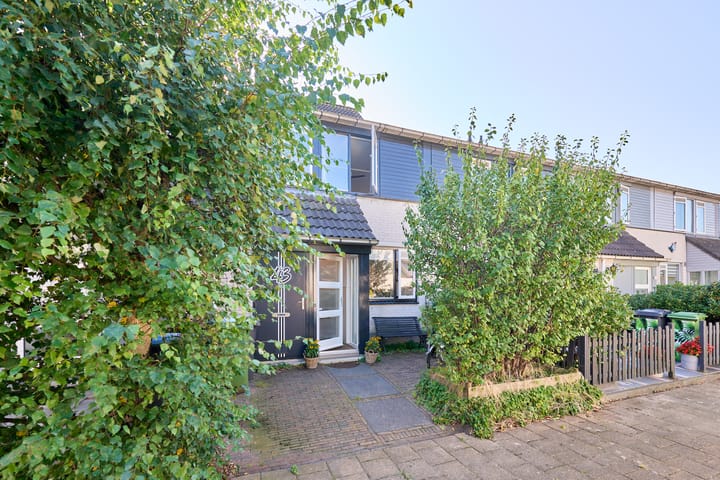 Foto 6 van Heintje Davidspad 43