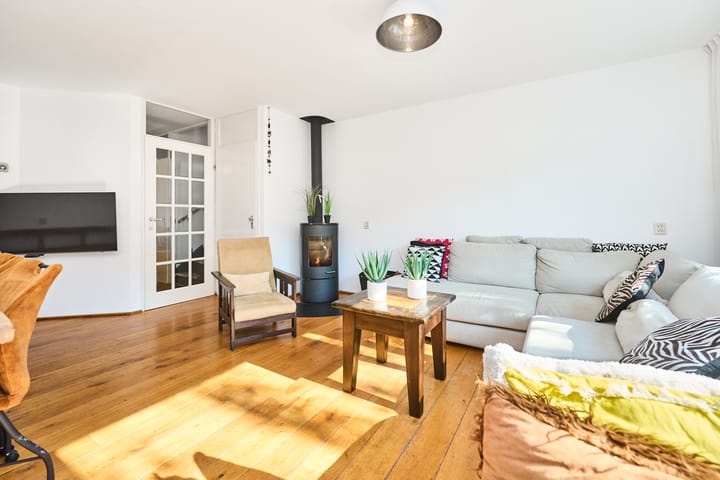 Foto 17 van Heintje Davidspad 43