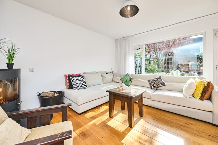 Foto 19 van Heintje Davidspad 43