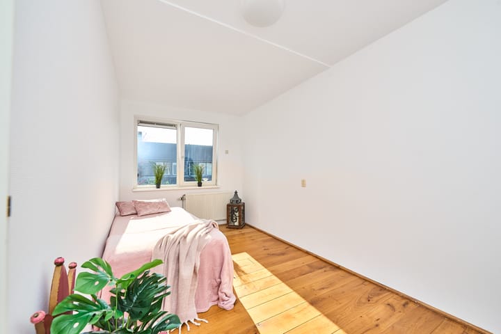 Foto 21 van Heintje Davidspad 43