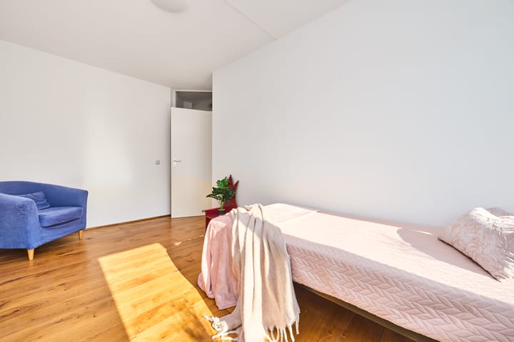 Foto 22 van Heintje Davidspad 43