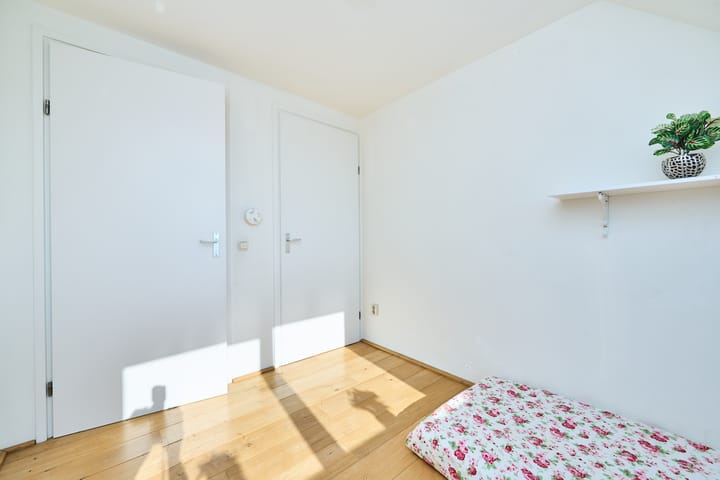 Foto 33 van Heintje Davidspad 43