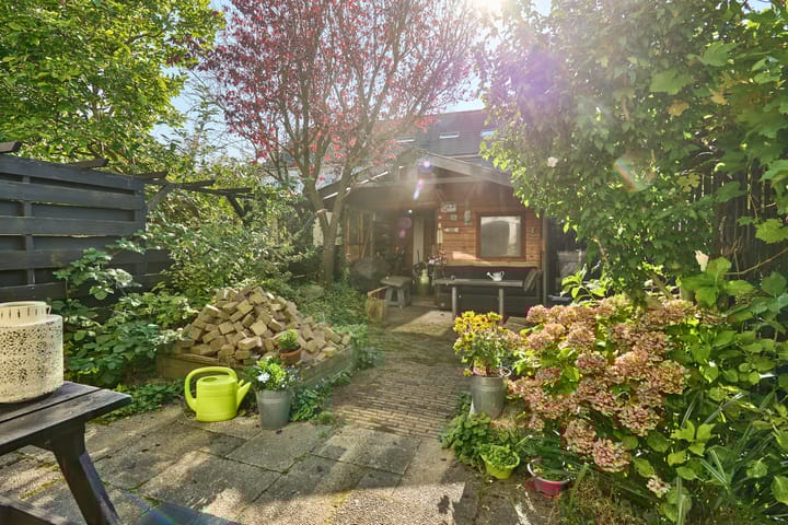 Foto 38 van Heintje Davidspad 43