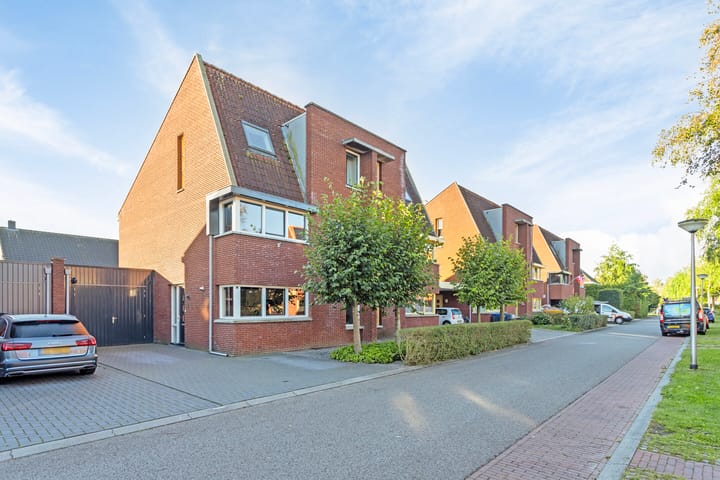 Foto 1 van Pastinaak 5