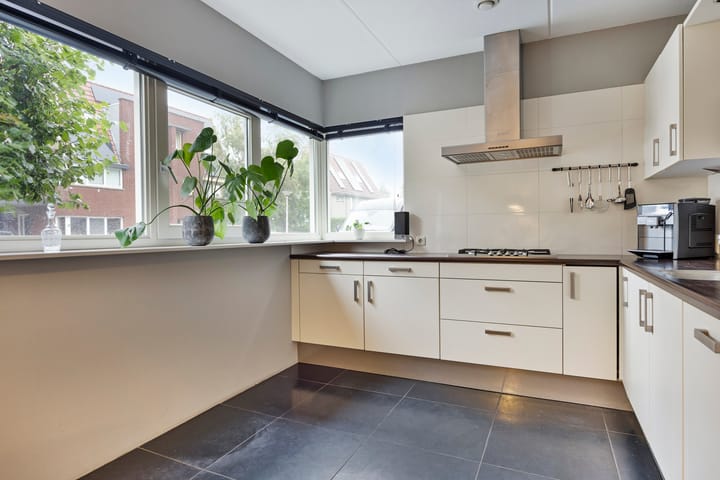 Foto 2 van Pastinaak 5