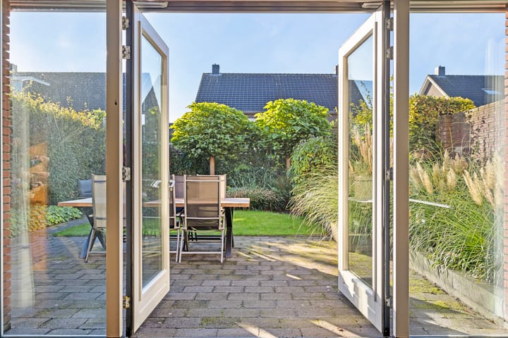 Foto 4 van Pastinaak 5