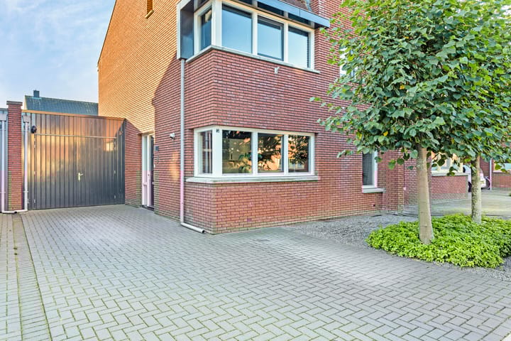 Foto 6 van Pastinaak 5