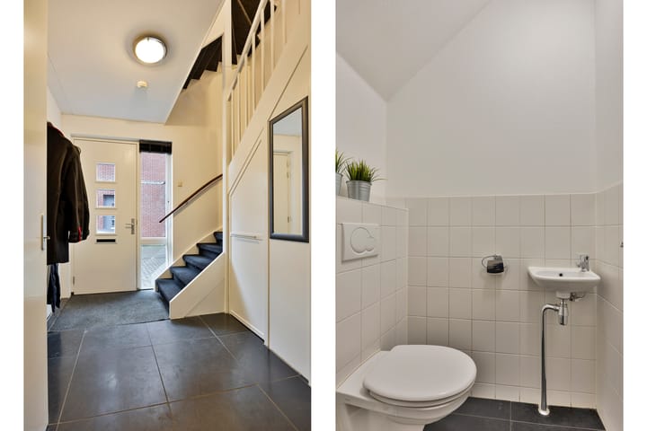 Foto 7 van Pastinaak 5