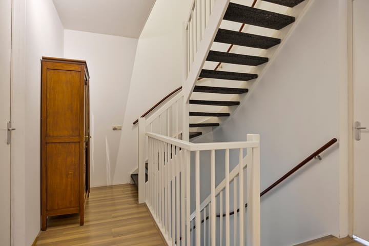 Foto 15 van Pastinaak 5