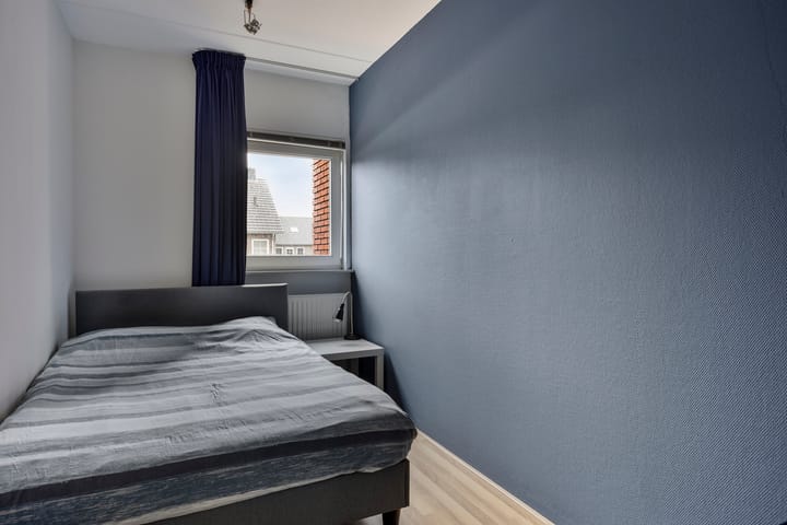 Foto 18 van Pastinaak 5