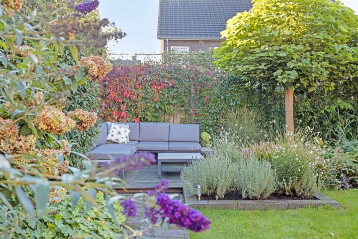 Foto 29 van Pastinaak 5