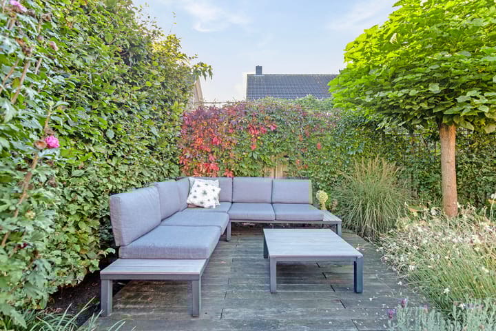 Foto 30 van Pastinaak 5