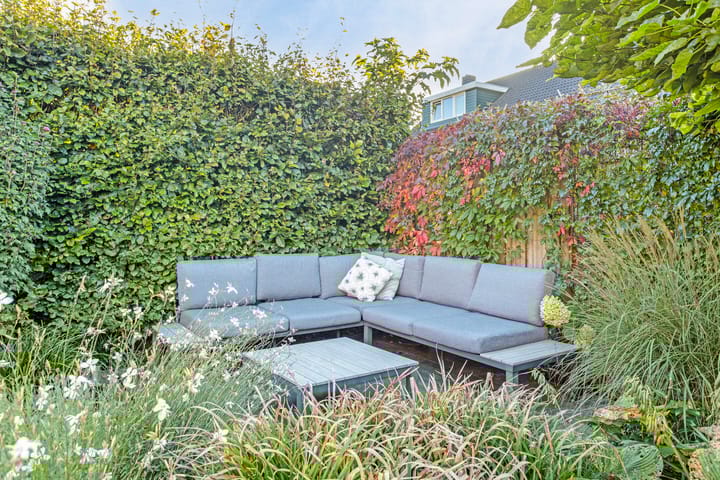 Foto 31 van Pastinaak 5