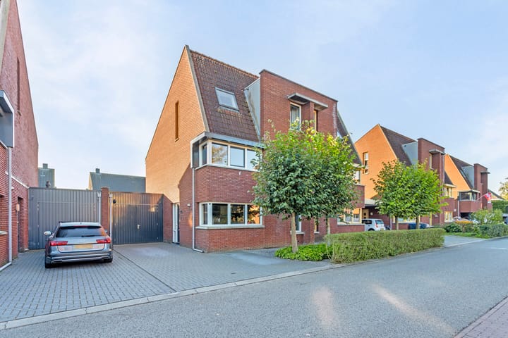 Foto 32 van Pastinaak 5