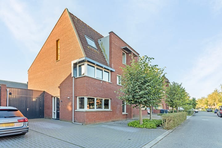 Foto 33 van Pastinaak 5