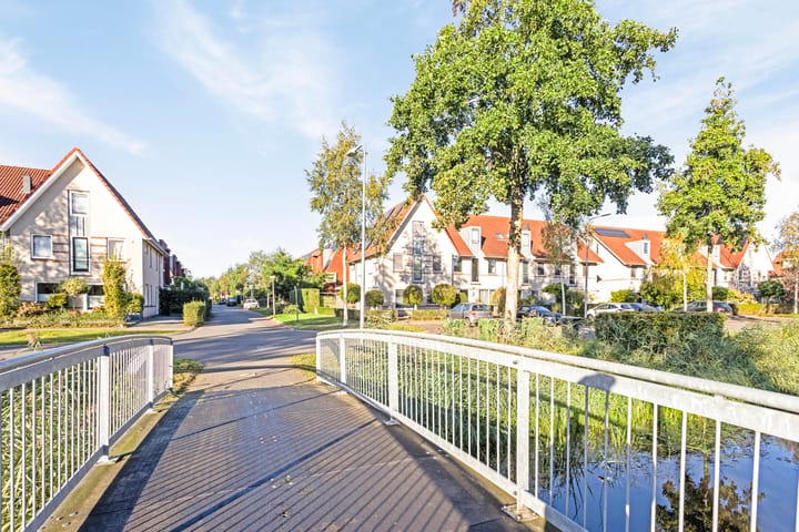 Foto 35 van Pastinaak 5