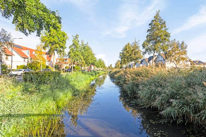 Foto 36 van Pastinaak 5