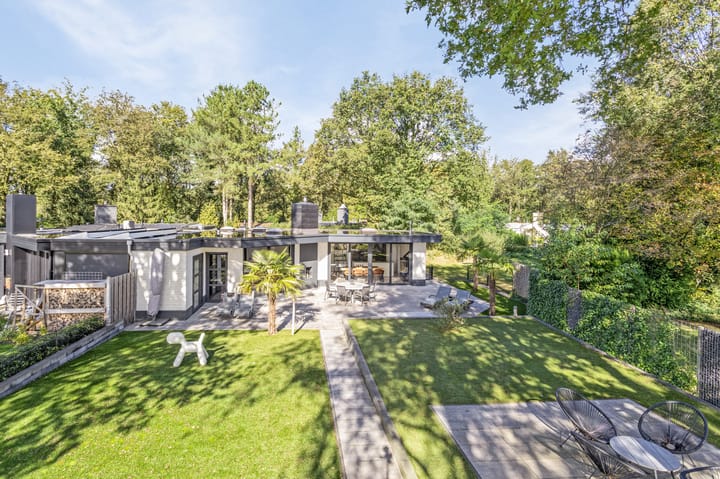 Foto 39 van Ermerzand 135