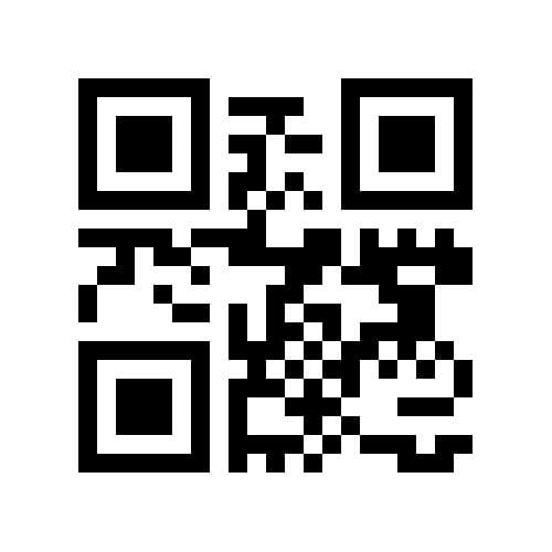 Foto 49 van Ermerzand 135