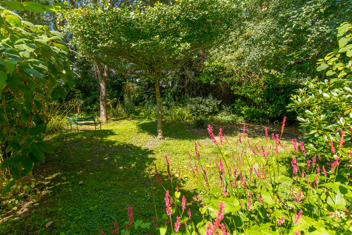 Foto 52 van 1e Exloërmond 101