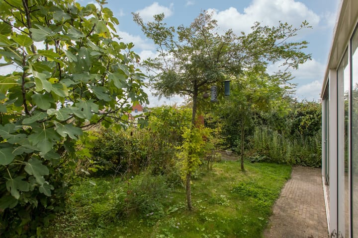 Foto 23 van Meerkoet 2