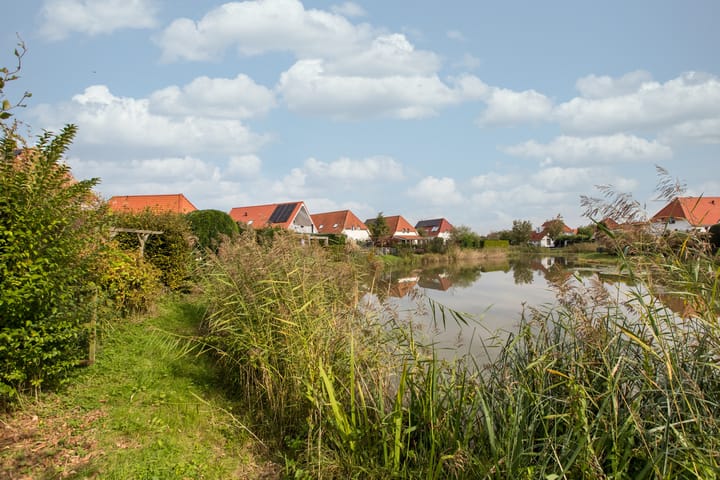 Foto 17 van Meerkoet 2