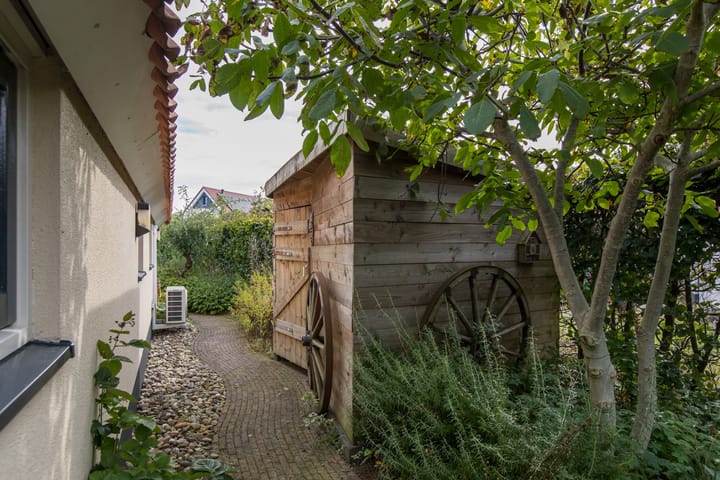 Foto 25 van Meerkoet 2