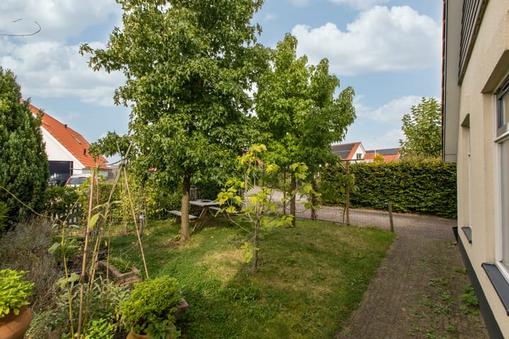 Foto 27 van Meerkoet 2