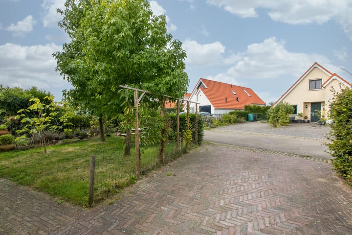 Foto 28 van Meerkoet 2