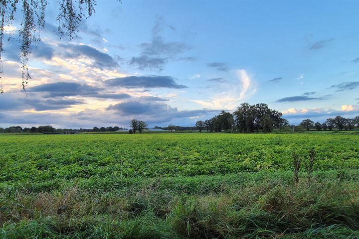 Bekijk foto van Bovenste Trent 0 ong