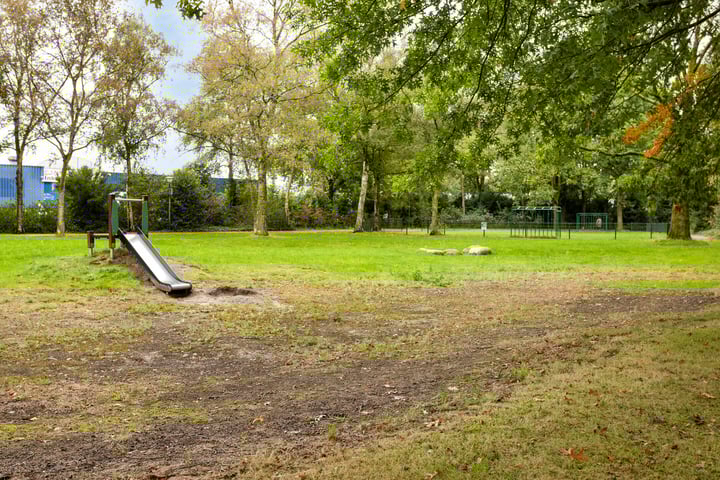 Foto 41 van Nieuwenpolder 11