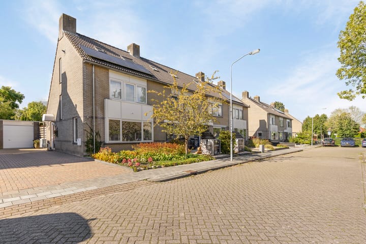 undefined main image