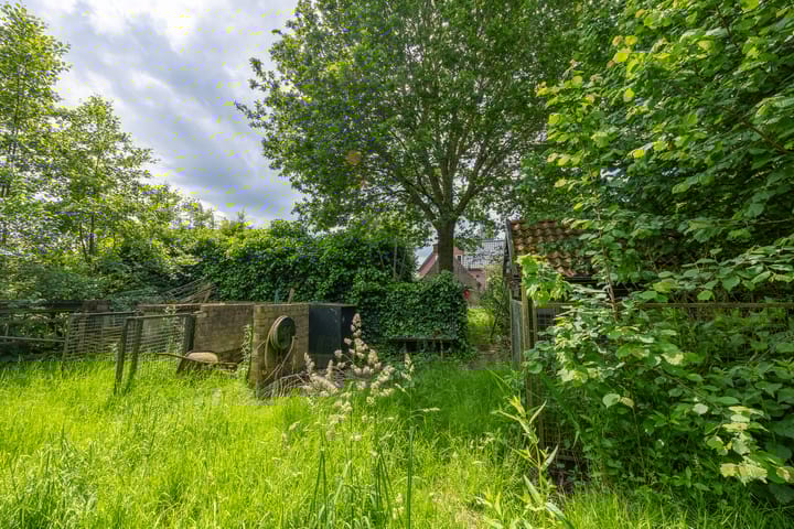 Foto 37 van Notaris Stephanus Roesstraat 34