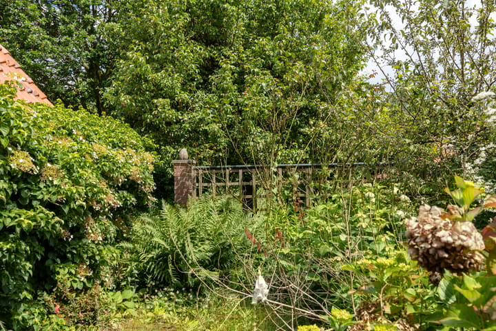 Foto 39 van Notaris Stephanus Roesstraat 34