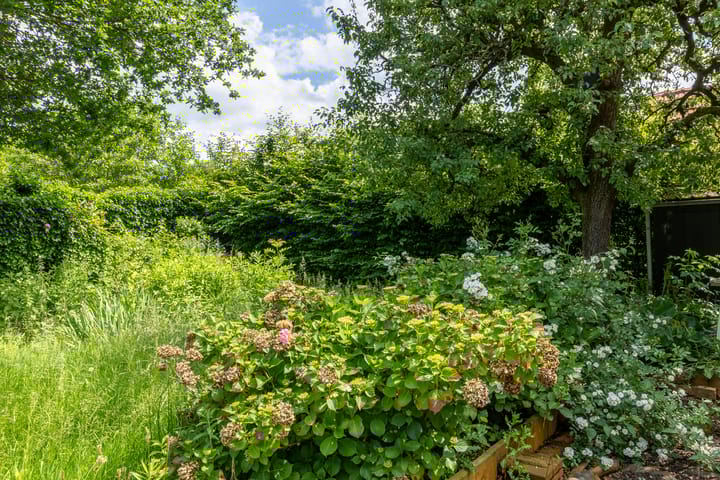 Foto 40 van Notaris Stephanus Roesstraat 34