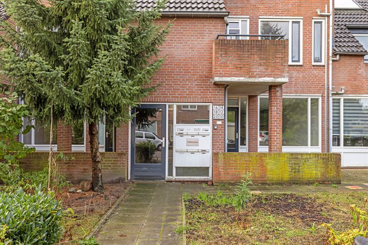 View photo 24 of Past. Jeukenstraat 10